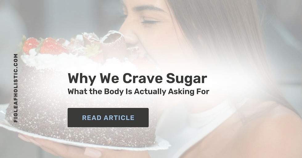 Why We Crave Sugar — and What the Body Is Actually Asking For