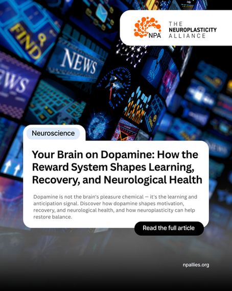 Your Brain on Dopamine: How the Reward System Shapes Learning, Recovery, and Neurological Health | The Neuroplasticity Alliance