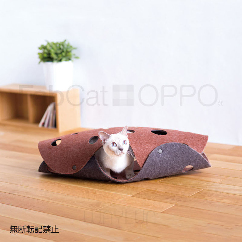 縮圖：OPPO #P48奇妙貓隧道