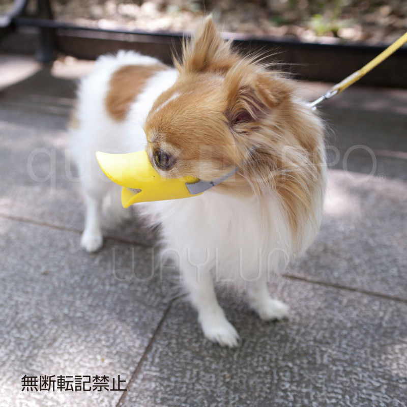 縮圖：OPPO #P26犬用鴨咀口罩 S (黃色)