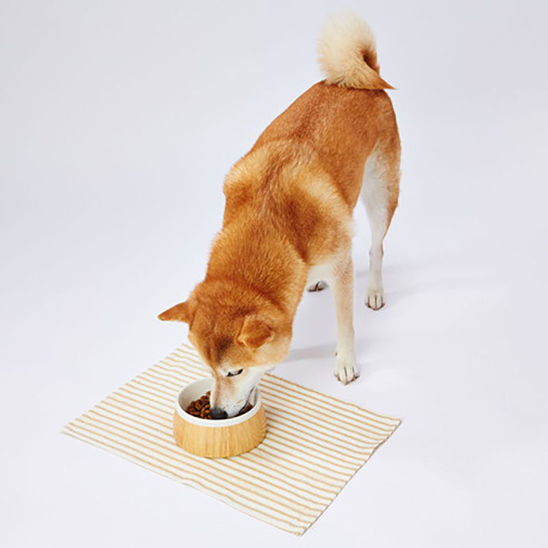 縮圖：Porta 犬用餐具木紋陶瓷餐碗 M #F171 (W26509)