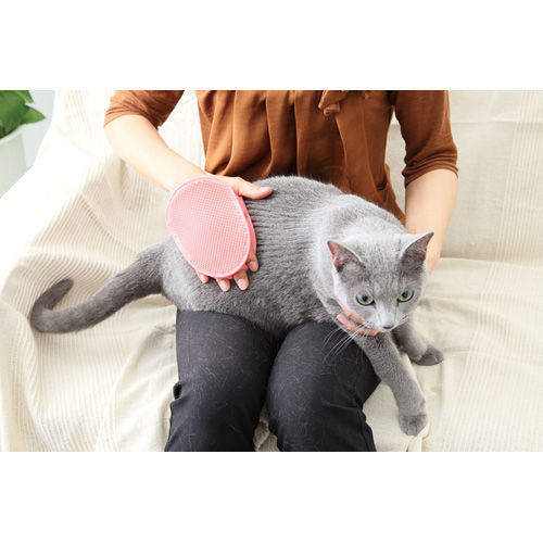 縮圖：Preciante貓犬專用雙面按摩刷 #E25 (W23896)