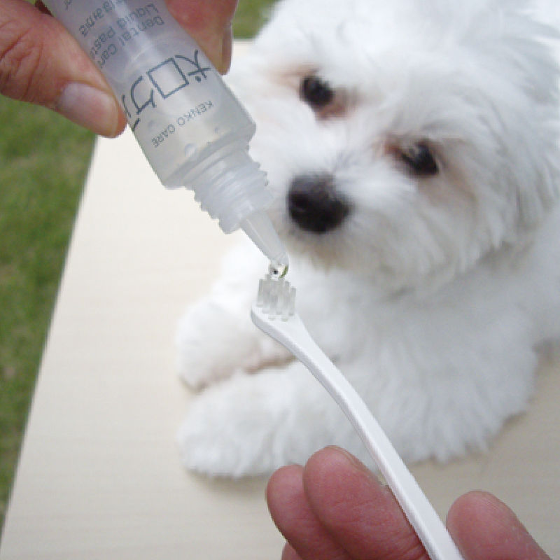 縮圖：Mind Up 犬用牛奶味液體牙膏 #M29
