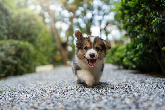 iStock-1555441248.jpg