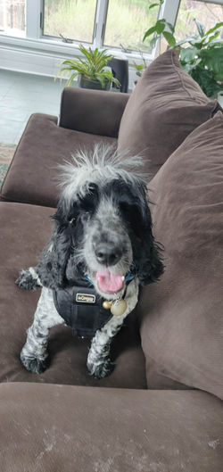 342463602_186400617586135_3860802164452837769_n