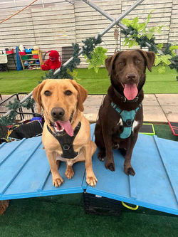 385550889_301902532802105_7538760684849822006_n