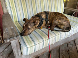 387459115_2008584976188160_7109710215219374222_n