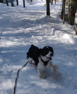 335437414_733627295059716_8175429105720959321_n_edited