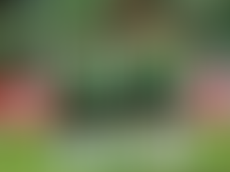 หลังเกม บราซิล ซีเรียอา 2022 | ฟลูมิเนนเซ่ ชนะ บรากันติโน่ 2-1
