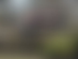 March - Nick Klein's Eagle Project