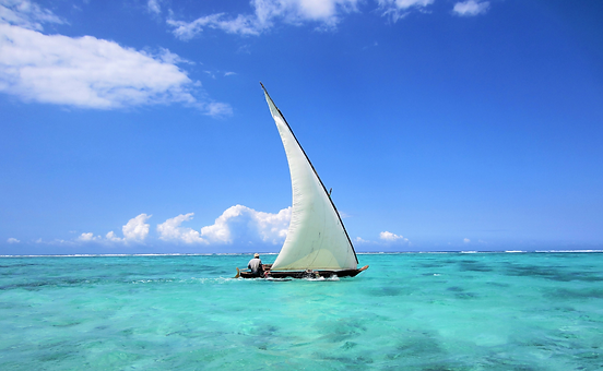 ZANZIBAR WIX.png
