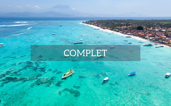 BALI CHILL WIX (3).png