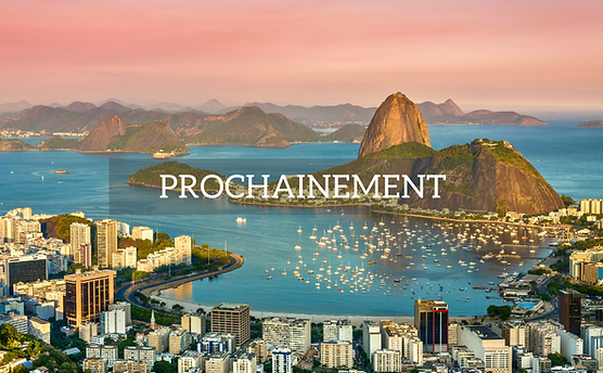 BRÉSIL WIX.png