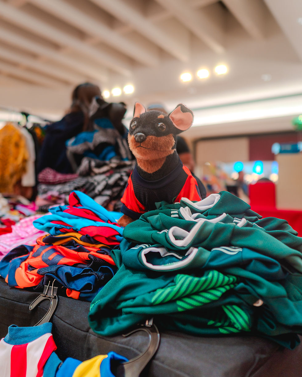 DuPage Hispanic Alliance Day 1-24.jpg