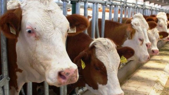 relocating industrial activities the center