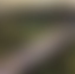 The Sakarya schedule of the Türkiye Culture Route Festival has been announced