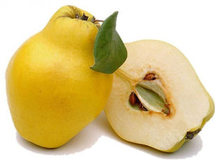 Sakarya: A Major Production Hub in Agriculture and Livestock