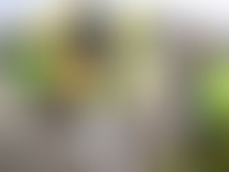 Een feestelijk afscheid voor juf Christel