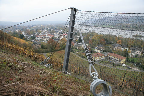 Fertiger Steinschlagschutzzaun in einem Weinberg bei Bad Honnef mit Blick auf den Rhein.jpg