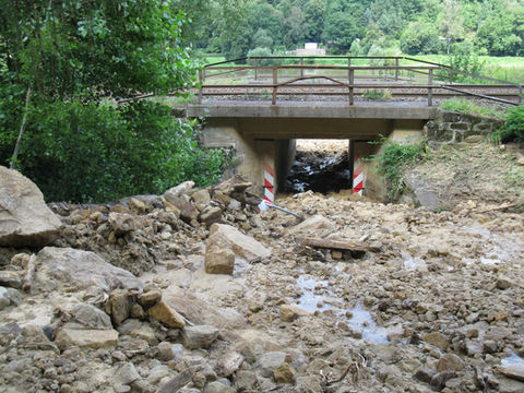 Auswirkungen einer Abgegangen Mure