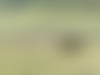 La Tanzanie : un safari grandeur nature.