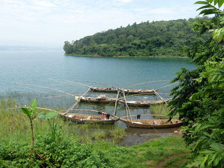 Le Rwanda : un beau petit pays revenu de nulle part...