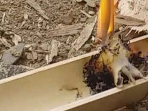 How To Make Fire Without Matches: A Survival Lesson From Tripura