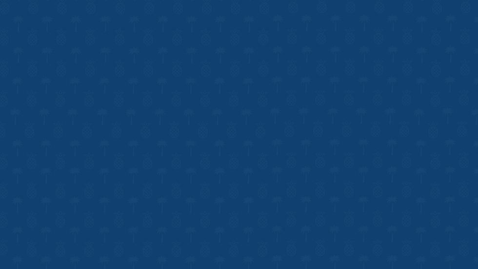 Ixchel Beach Front Website Background Palms and Pineapple.png