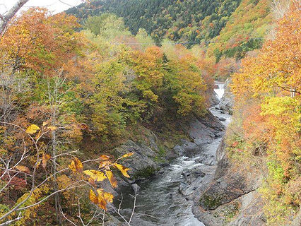 渚滑川_写真.jpg