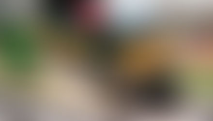 Long awaited update...