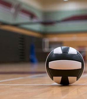 Volleyball