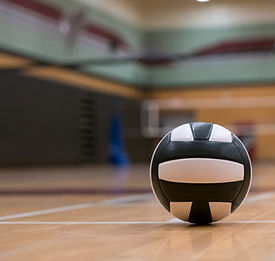 Volleyball