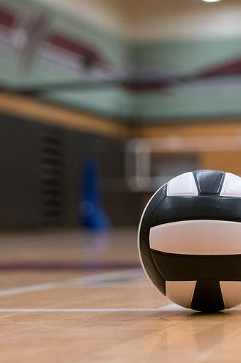 Volleyball