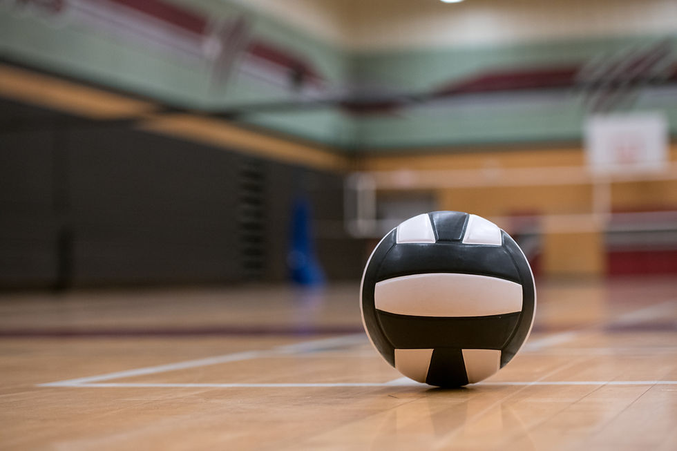 Volleyball On Court
