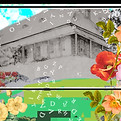 1740545061655_edited.jpg
