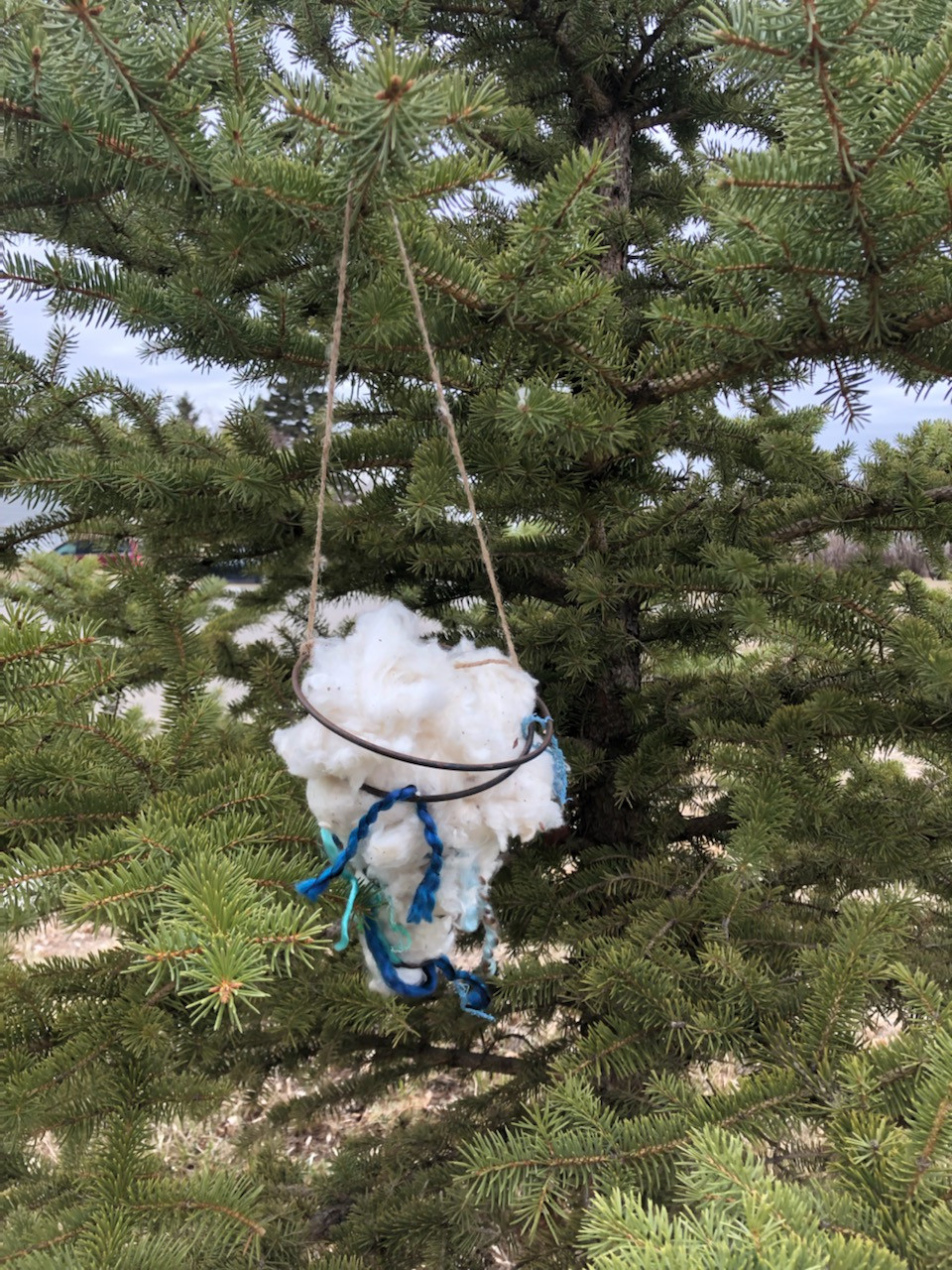 Spring is for the Birds