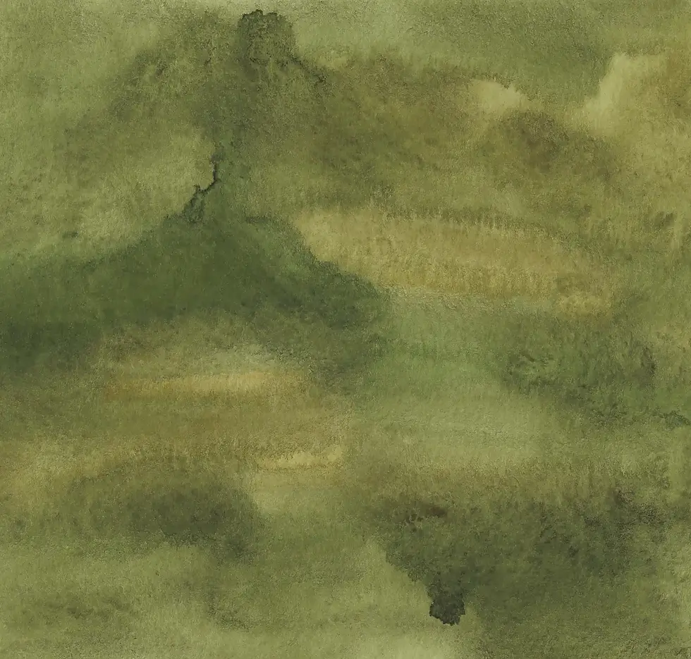 Watercolour Green Backdrop.webp