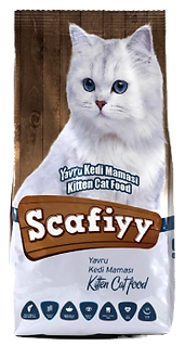 SCAFİYY KİTTEN_edited.png