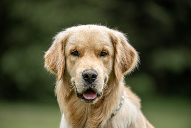 Instruktion Feuerlöscher und Feuerdecken für Sanigruppe