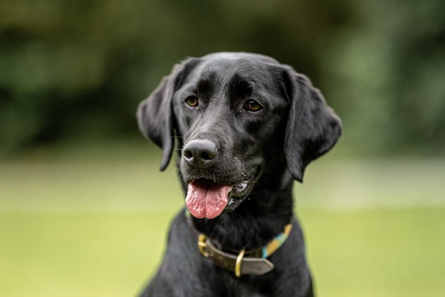 73. Vereinsversammlung 