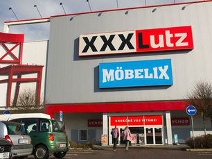 Digital Transformation of Fleet Management at XXX Lutz and Mobelix