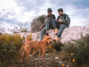 Two people sitting on a rock, smiling at their phones. Two dogs stand nearby. Wildflowers and cloudy sky create a serene outdoor setting.
