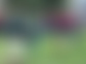 Tafelronde 104 legt krans tijdens Dodenherdenking 2026