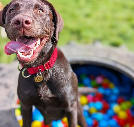 432132960_436152025600276_70382399273102