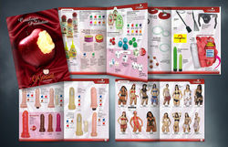 Prevenrio 2010 montagem 2