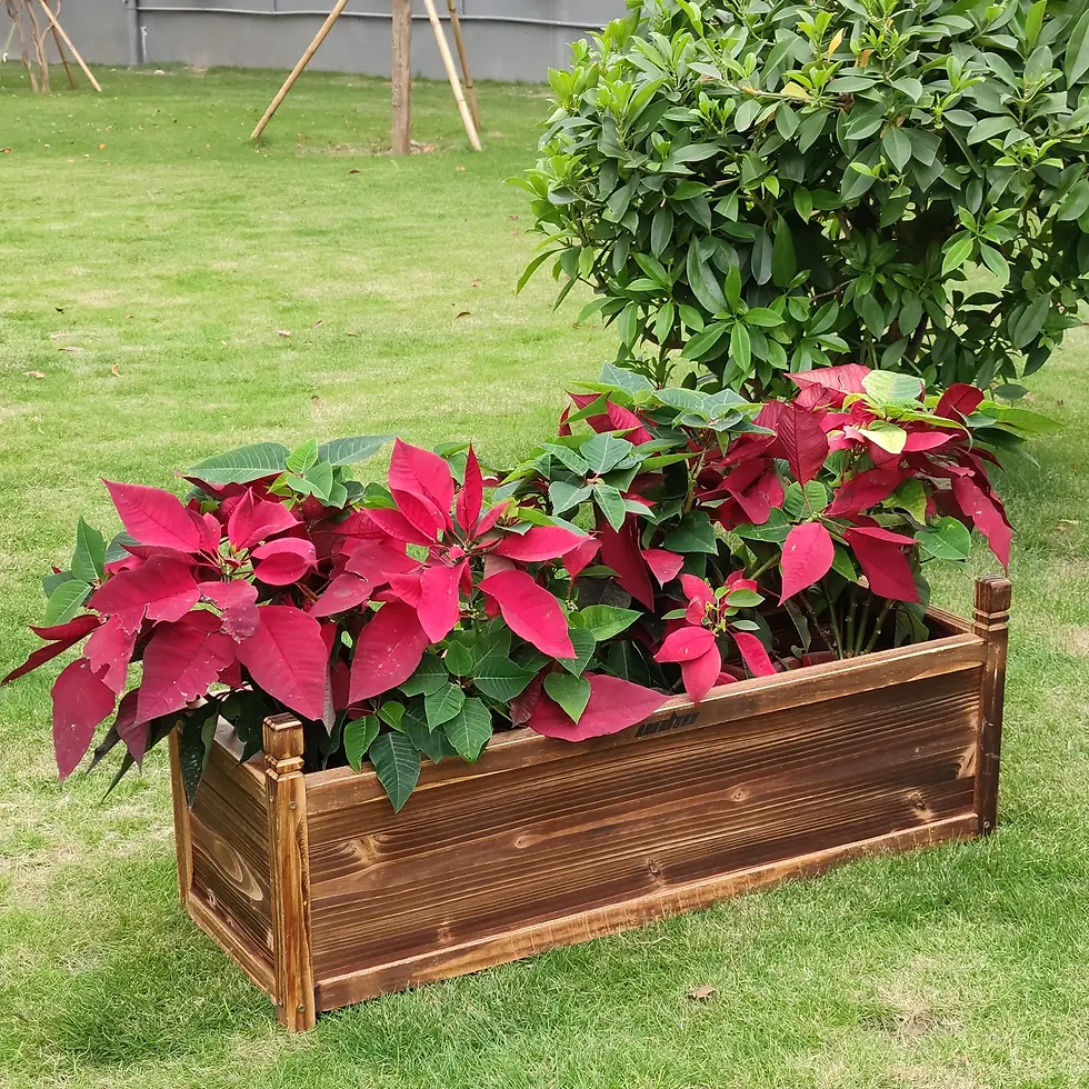 Thumbnail: Wooden Raised Garden Bed Planter Box for Vegetables, Herbs & Flowers