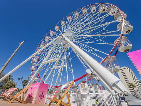 The Wheel 16 Dec 2021-6LR.jpg