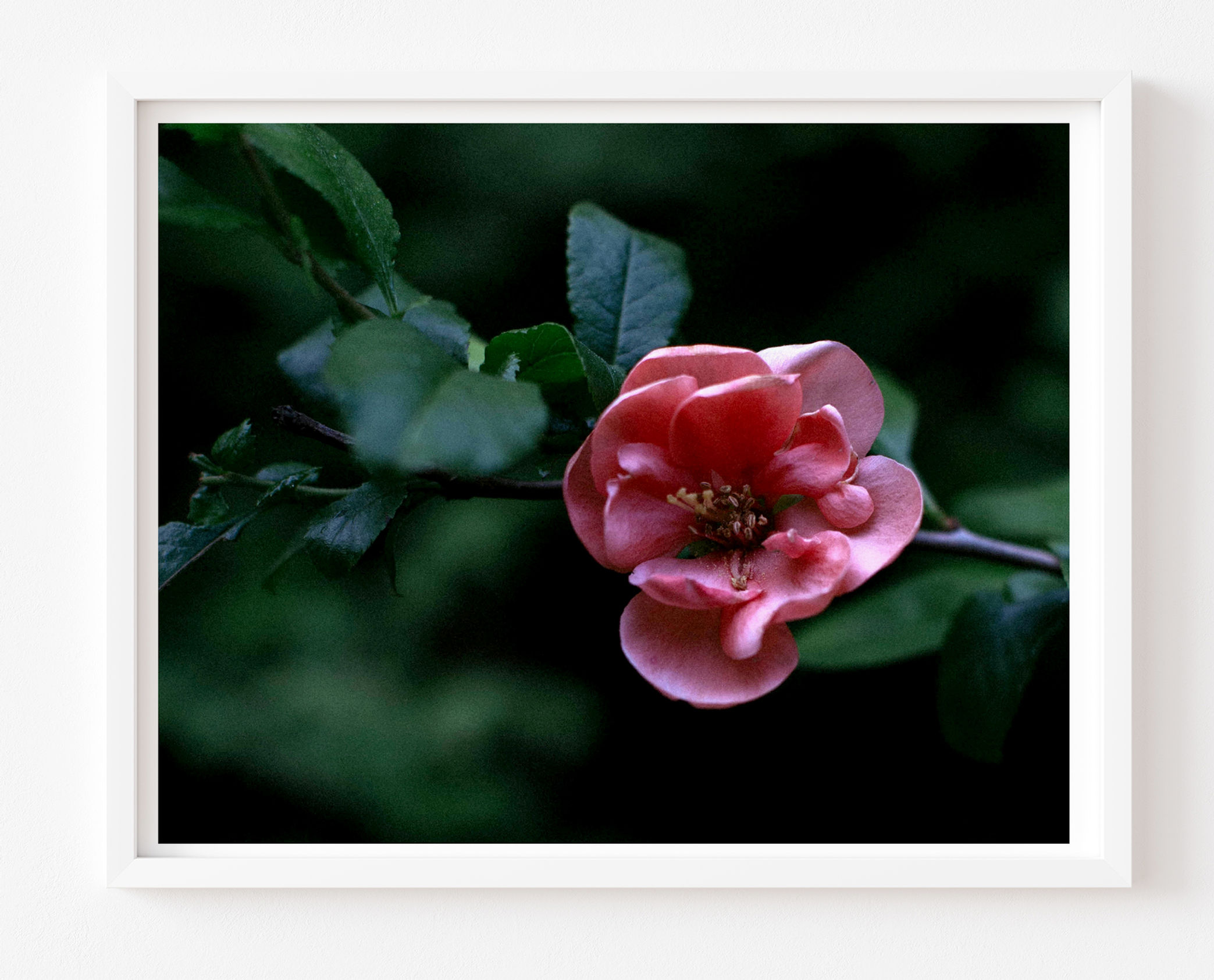 Pink Wild Floral Print 8 x12" | 20 x 30 cm