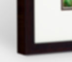 Thumbnail: Radishes  8 x12"  | 20 x 30 cm