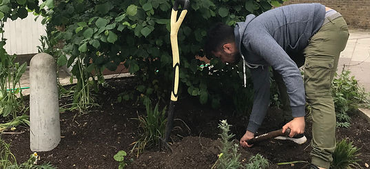 8C38CC6A-E79C-4373-970F-B5EFAF646706_edi